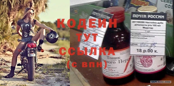 индика Балахна