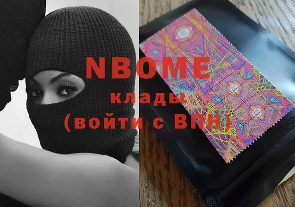индика Балахна