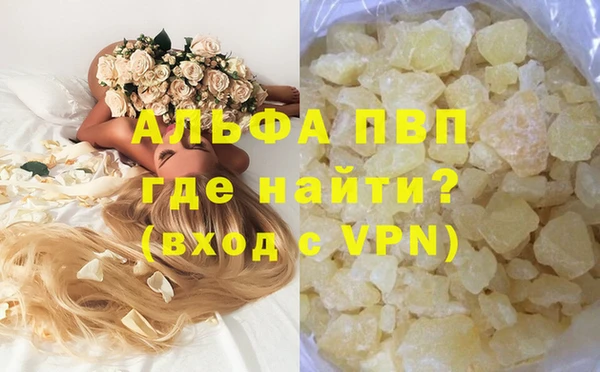 индика Балахна