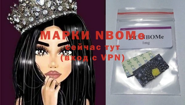 индика Балахна