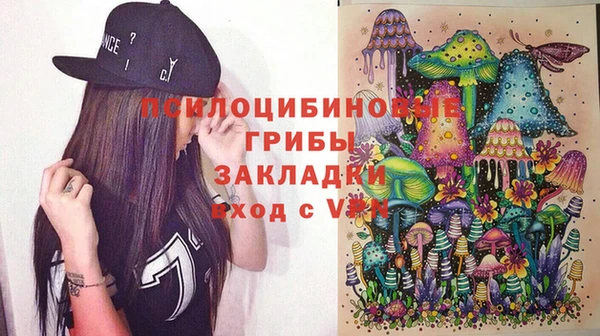 индика Балахна