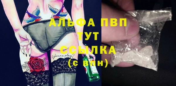 индика Балахна