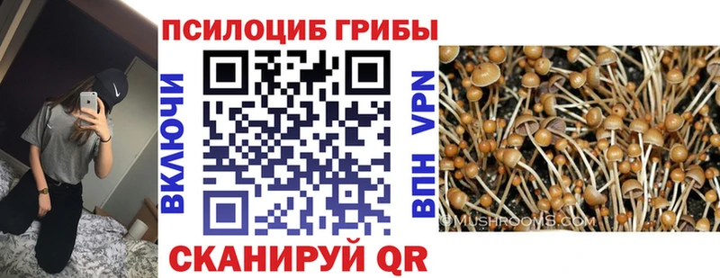 Псилоцибиновые грибы мухоморы  Собинка 